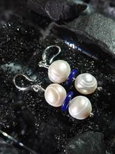 Snow Country Journey Double Shine Earrings